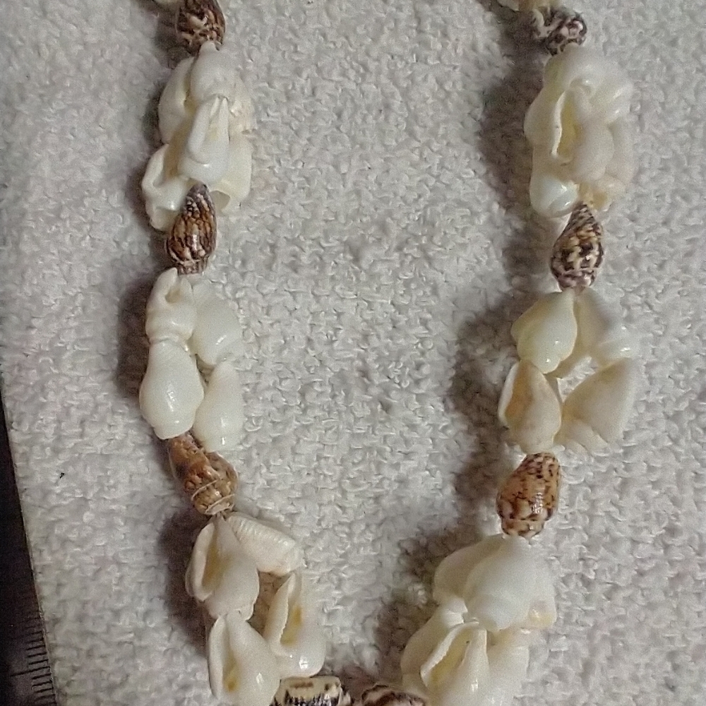 White brown long shell necklace beach Hawaii vacation ⛱️🏖️ 🐚🐚 - Picture 5 of 5
